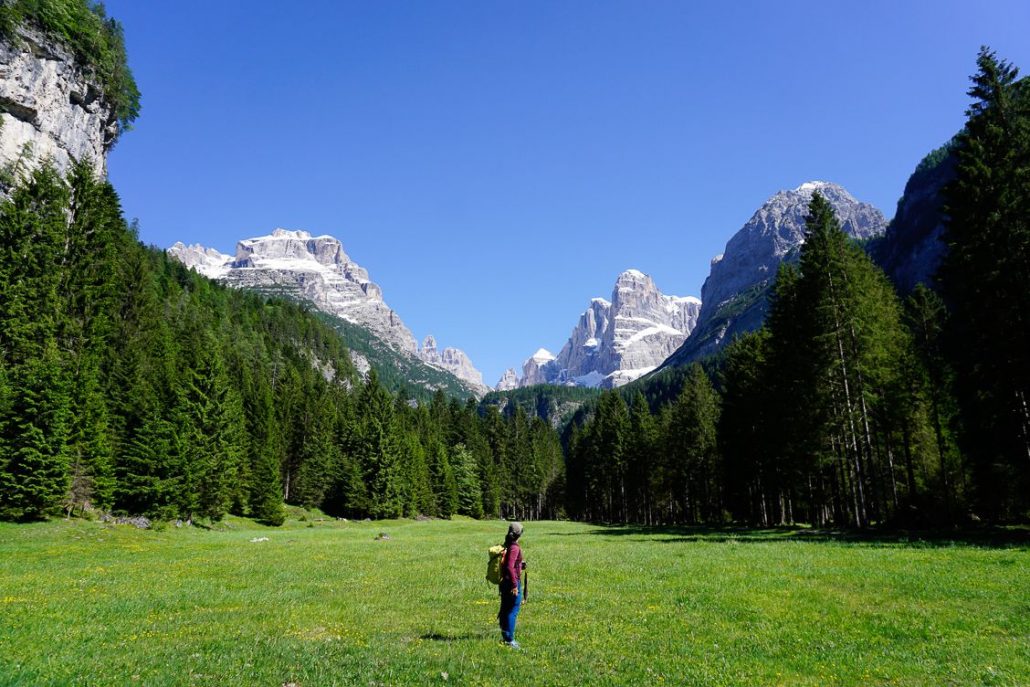 The meadows of the Dolomiti di Brenta