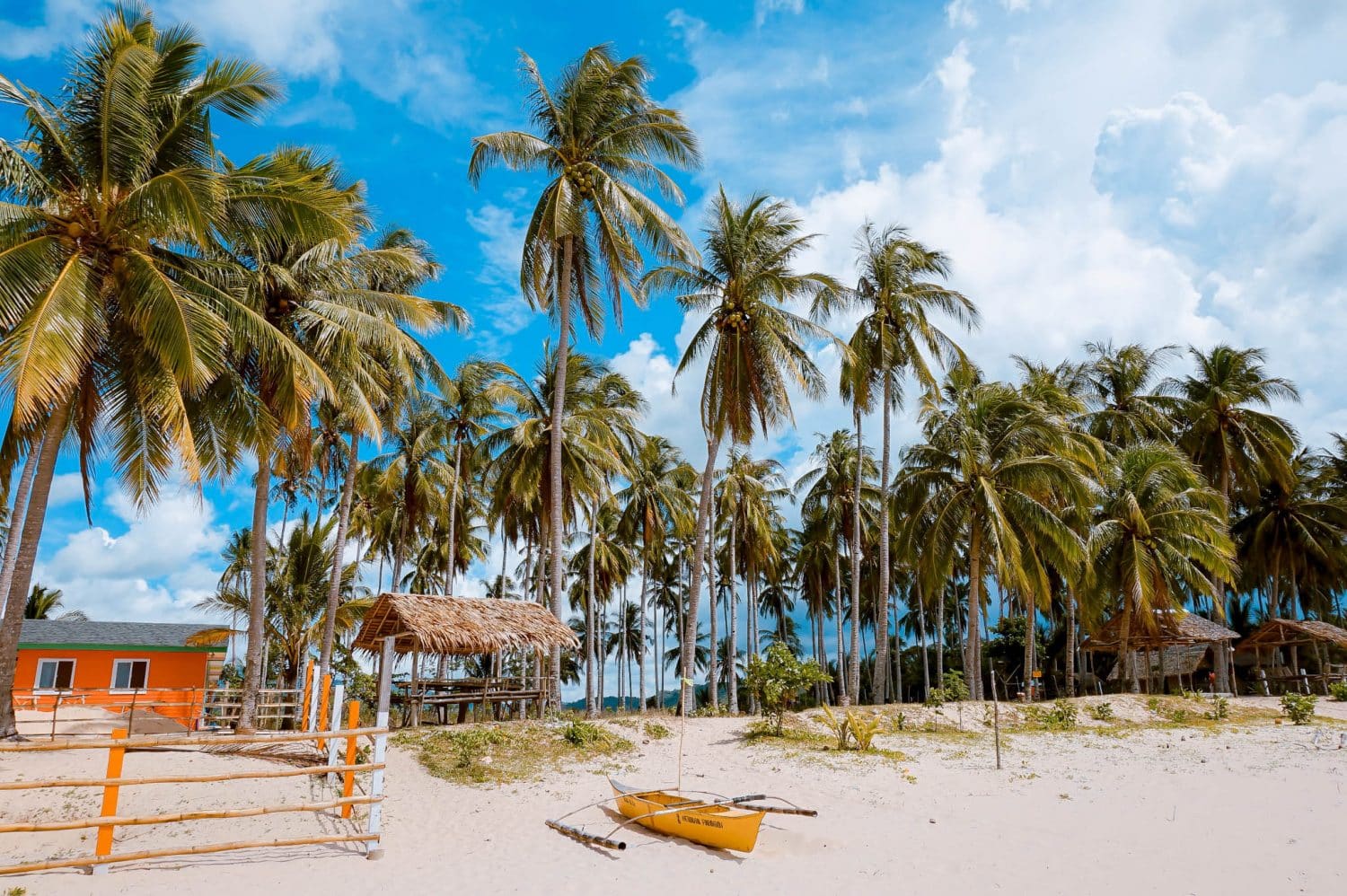 Honda Bay Island Hopping