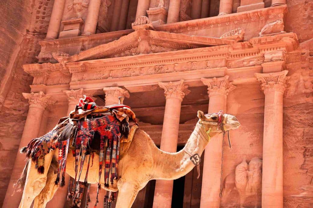 Photo of camel in the Petra, Jordan