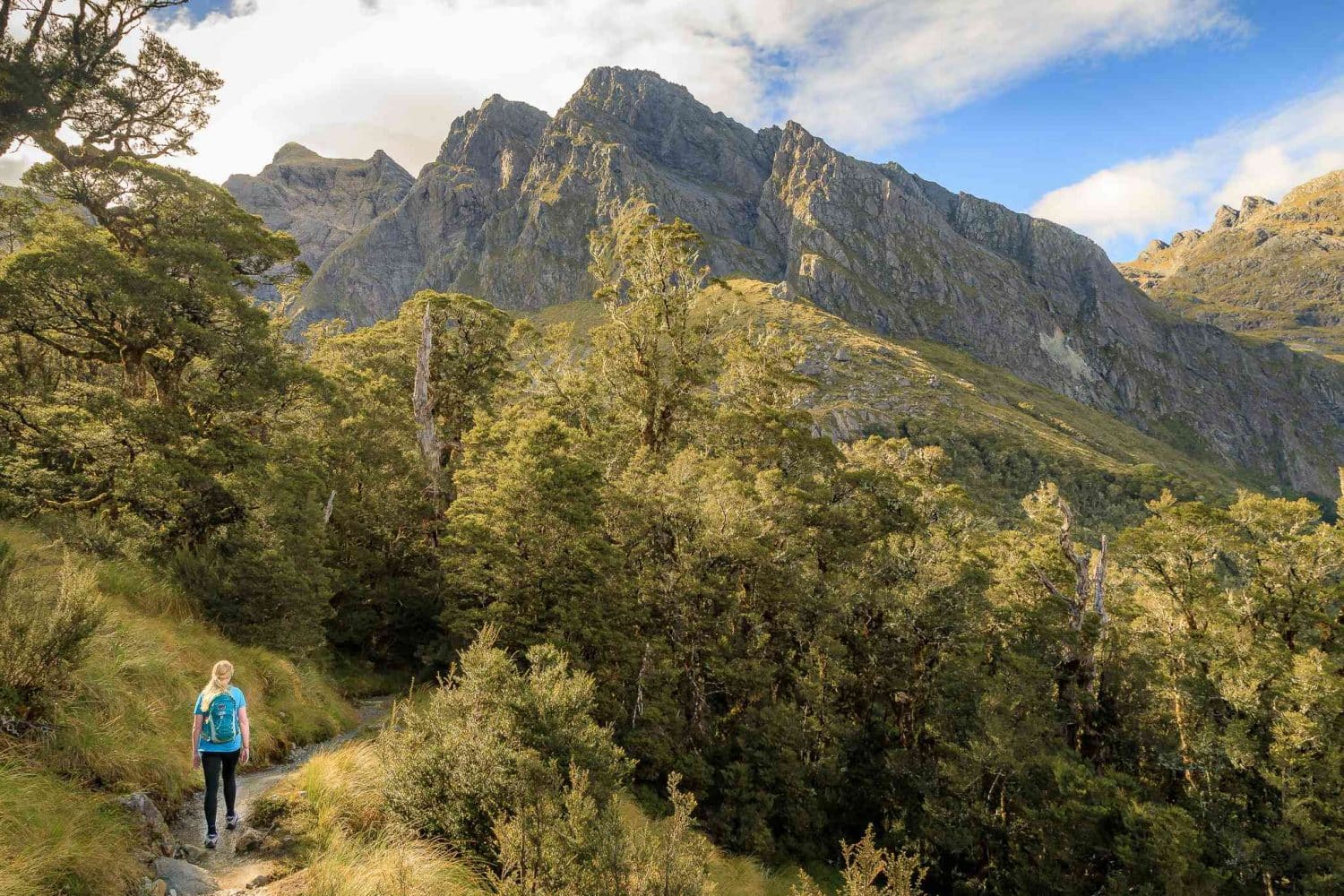 Best hikes in New Zealand