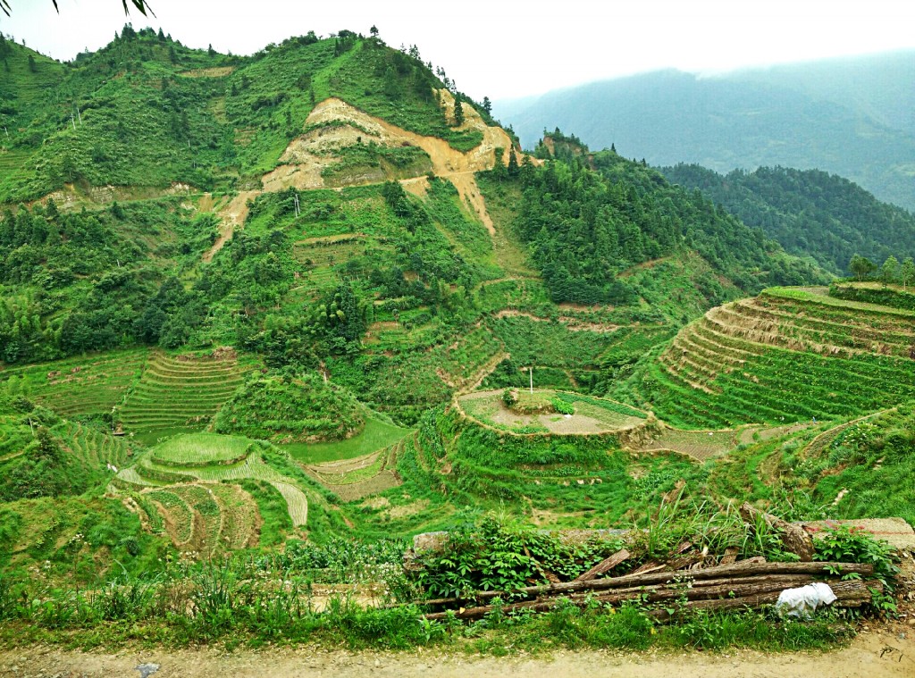 Zhonglu Village exit