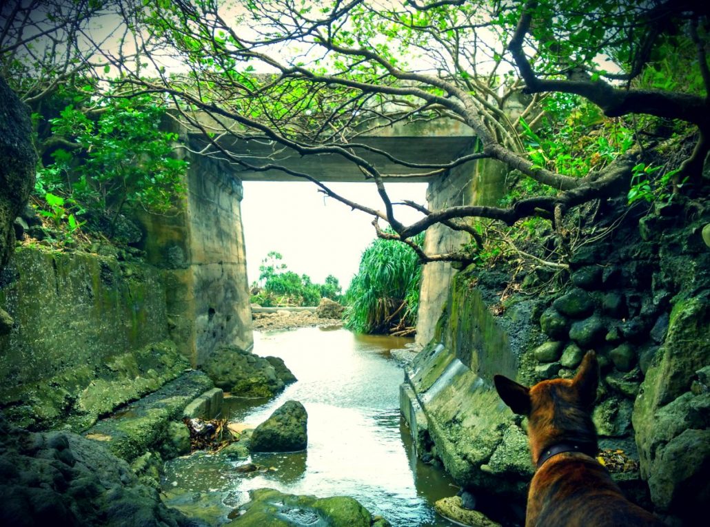 Start of Waterfall on Lanyu Island