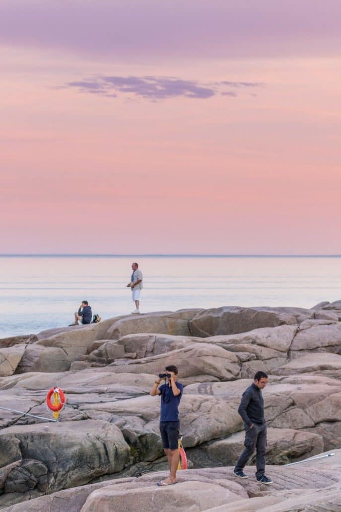 Whale Watching Tadoussac Pinterest (1)